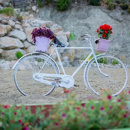 Ktima Argyrou Stegna カントリーハウス *