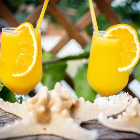 Ktima Argyrou Stegna 아크앤젤로스