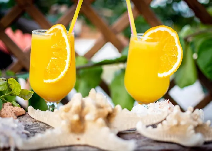 Ktima Argyrou Stegna Archangelos (Rhodes)