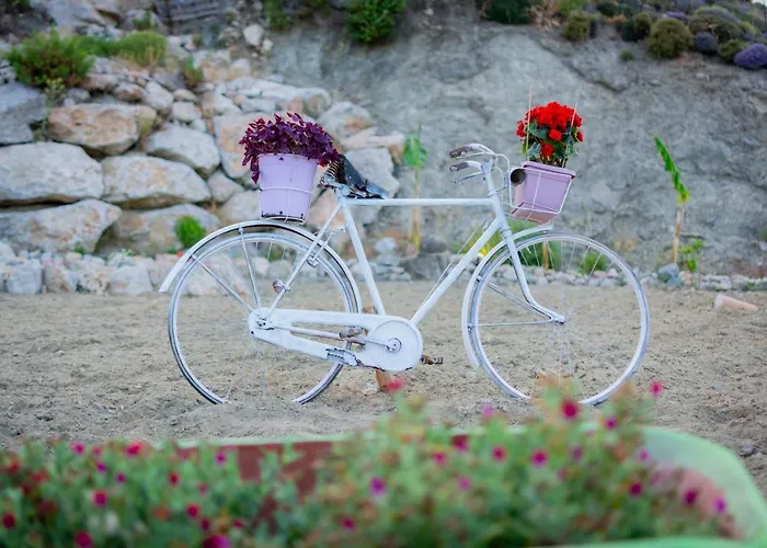 Ktima Argyrou Stegna Casa rural *